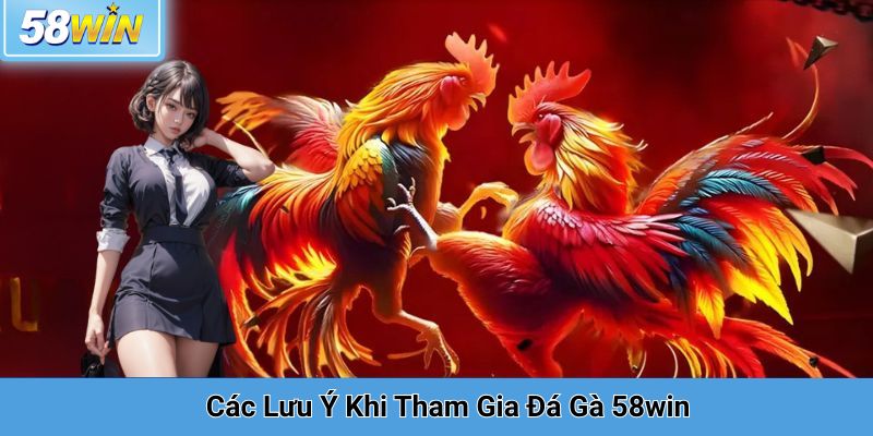 Các Lưu Ý Khi Tham Gia Đá Gà 58win