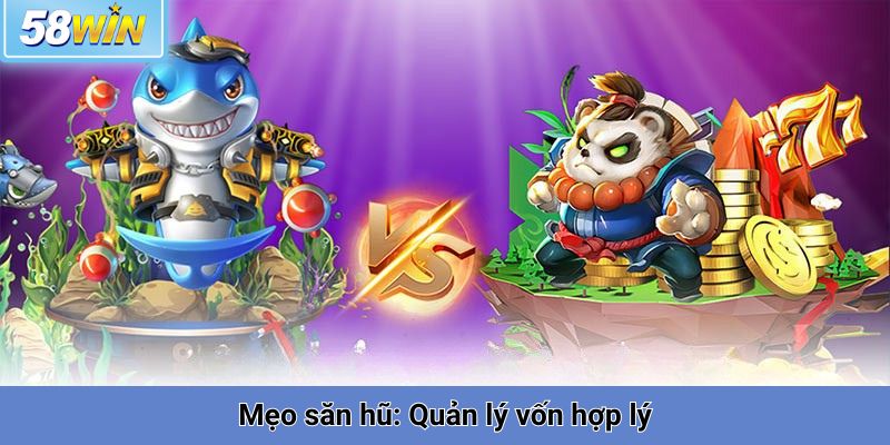 Mẹo săn hũ: Quản lý vốn hợp lý