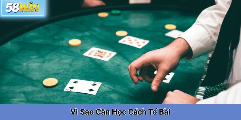 Tố Bài Là Gì? Vì Sao Cần Học Cách Tố Bài
